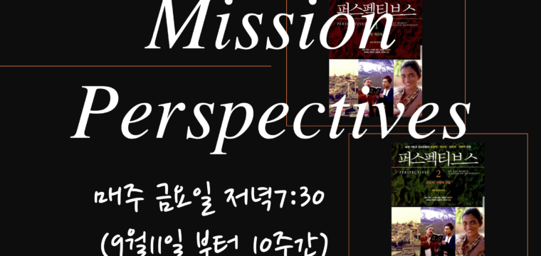 미션 퍼스펙티브